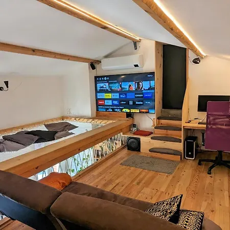 Duplex Avec Filet Cinema アパート アルビ